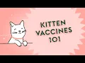 What s the Deal with Kitten Vaccines Vet Tips