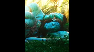 Cutest Scene Avatar Avatar2009 Avatarthewayofwater Neytiri Jakesully Avataredit Avatarmovie 