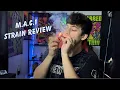Reviewing The Mac1 I grew Strain Review