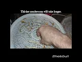 Mushroom Cultivation 101 Dehydrating and storage