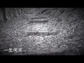 一生何求 呂珊