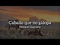 Caballo que no galopa - @Horacio_Guarany 