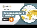 Unit B 5 Lesson 4 Planning OpenSciEd On-Demand Resources