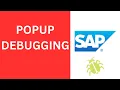 Debug a Popup Techno-Functional Skills SAP ABAP Development Support