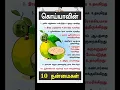 Download Lagu கொய்யா பழம் நன்மைகள்