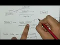Servlets Introduction Unit 3 Internet Programming Anna University Explanation in Tamil