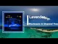 Disclosure & Channel Tres - Lavender (Lyrics)