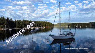 Summer Day Short Video