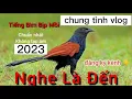 Download Lagu tiếng bìm bịp mồi bẫy loa mơi nhất 2023 bẫy là vào