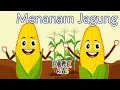 Lagu Menanam Jagung | Lagu Cangkul Cangkul Yang Dalam | Lagu Anak Cangkul Yang Dalam