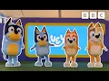 BLUEY THEME TUNE Boogie with Bluey CBeebies