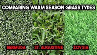 brief comparison of warm season grass types bermudagrass st augustine zoysia