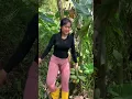 Lagu mengambil buah pisang