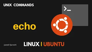 How to Display Text Using echo echo Command in Linux basic unix commands