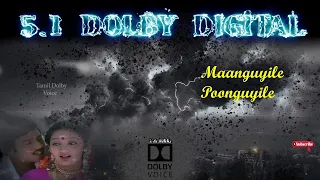 maanguyile poonguyile 5 1 dolby audio ilayyaraja song