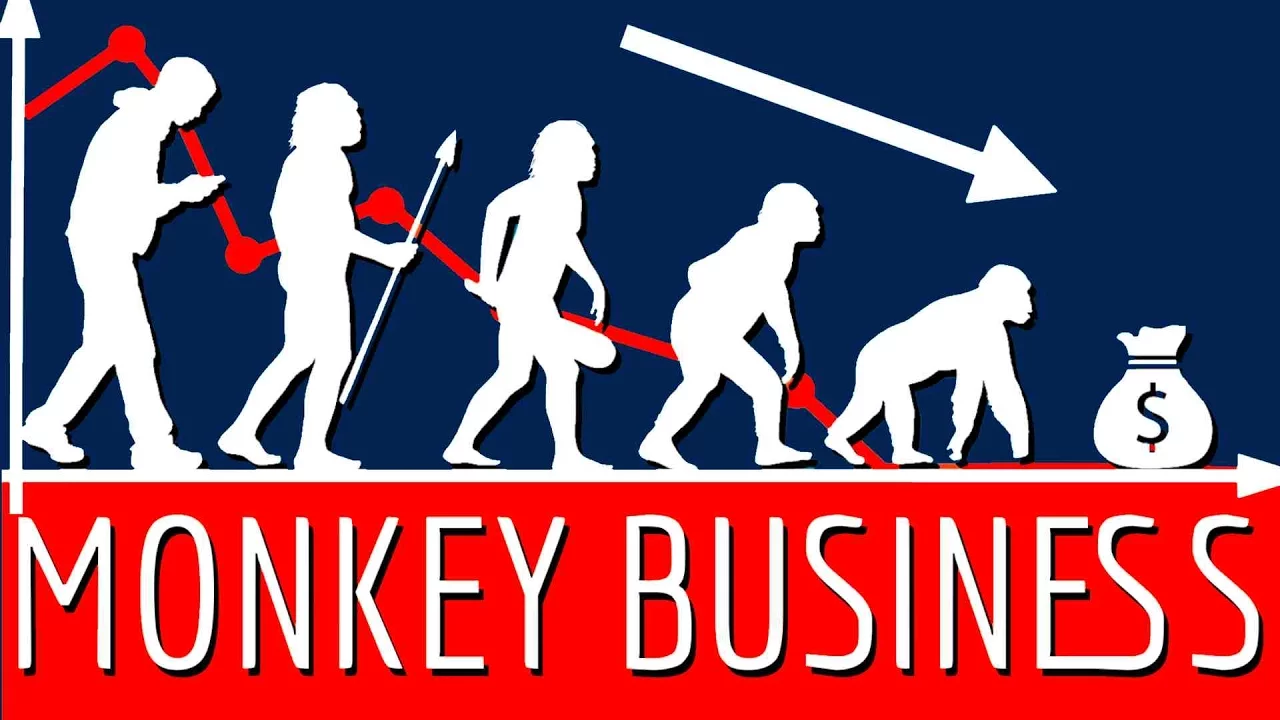 Les singes sont-ils plus rationnels que nous avec leur argent ?