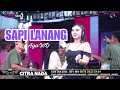 Download Lagu SAPI LANANG ~ AYU WD // CITRA NADA LIVE DUKUH ANJUN KALER - MALAHAYU // BANJARHARJO - BREBES