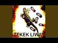 Download Lagu Tekek Liwat