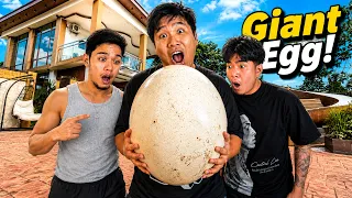 BASAGIN ang HIGANTENG ITLOG!! - Bagong Exotic Pet?
