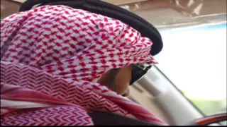 شيلة سهم حبك مسرع دندنها