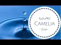 Lagu 【KAiARI】Camelia -Cover-【歌ってみた】(Mili)