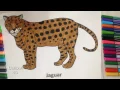Jaguar Coloring Pages For Kids - Jaguar Coloring Pages