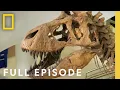 Download Lagu Geheimen van de dodelijke T-Rex: Koning der Dinosaurussen (Volledige aflevering) | Lost Beasts Un...