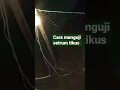 Download Lagu Cara menguji setrum tikus || link video lengkap ada di kolom komentar