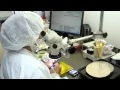 DCCCD Workforce Partner - Micropac Industries Inc