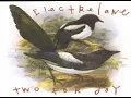 Electrelane - Today