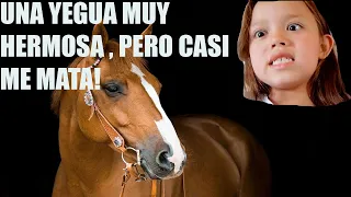 caballo bailando y una yegua casi me mata 
