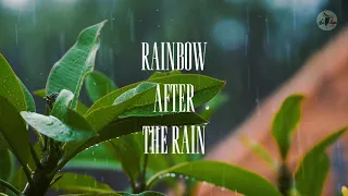 Download Rainbow After The Rain 2 - Je Sape MP3