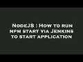 NodeJS How to run npm start via Jenkins to start application