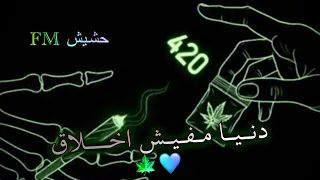 مهرجان دنيا مفيش اخلاق        كل البنات اوهام   شاهد قبل الحذف دندنها