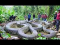 Lagu The Giant Serpent of the Jungle