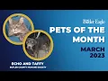 Butler Eagle Pets of the Month - March 2023