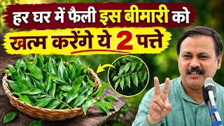 Rajiv Dixit - करी पत्ता खाने का सही तरीका | Curry Leaves के पारंपरिक फायदे