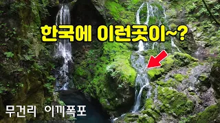 삼척 무건리 이끼계곡 ~!! 태고적 신비를 그대로 간직한 곳~ 여름에 꼭 가봐야 할 힐링명소. 썸네일