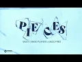 VASSY x Bingo Players x Disco Fries - Pieces  (Official Audio Video)