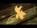 DUSTCELL - フラッシュバック / Flashback