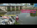 Download Lagu Berburu udang gala ( lobster ) di bendungan kuro