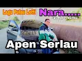 Download Lagu Lagu PARCUMA dalam Bahasa Letti - Cover Apen Serlau