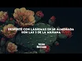 Los Lara - Se Va (Letra/Lyrics)