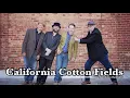 California Cotton Fields Live at The Dragonfly Wine Market