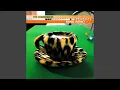 Download Lagu The Cranberries - Animal Instinct (Remastered) [Audio HQ]