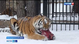 В Большереченском зоопарке перешли на усиленное питание животных в зимний период