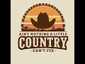 Erin James - Country Cant Fix