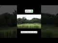 Download Lagu Syahravi bukan Sahroni! dengerin terus #dusta my #newsingle #musikindonesia #golf