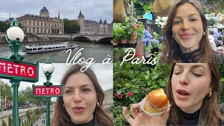 journ e paris french vlog w subs oldest p tisserie in paris le de la cit u0026 st michel