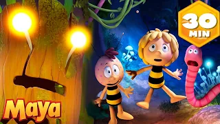 ¡El Monstruo de la Miel Ataca! 🍯 | La Abeja Maya | Recopilación | Dibujos